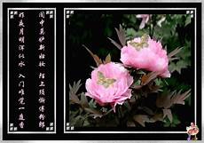 关于启示的作文,3、俺关于启示的作文小孩死@___的 关于启示的作文 启