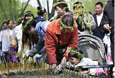 关于清明节的习俗